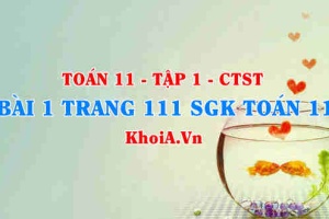 Bài 1 trang 111 SGK Toán 11 Tập 1 Chân trời sáng tạo